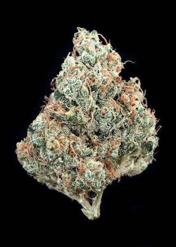 818 Headband