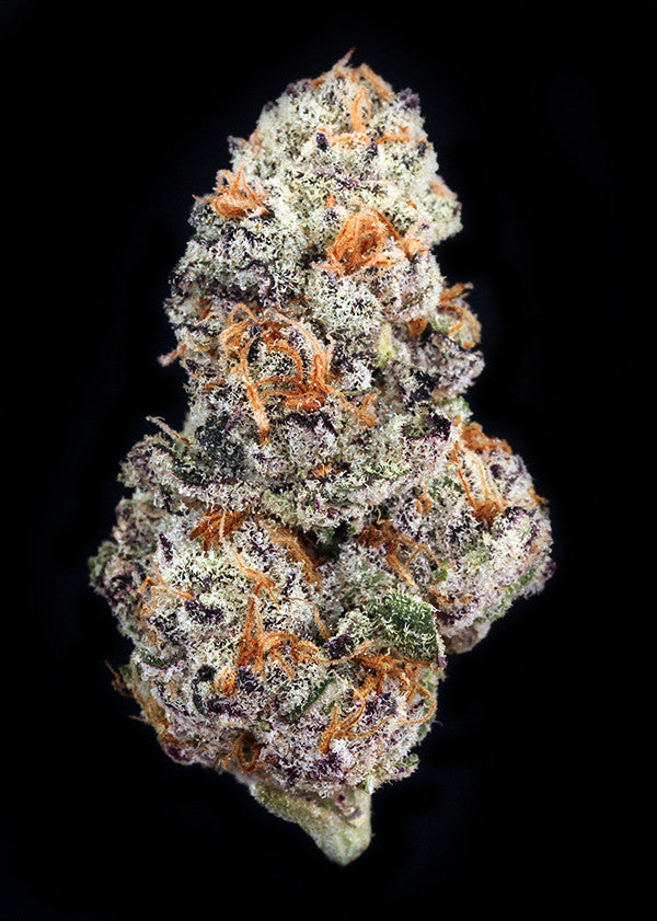 Peanut Butter Breath