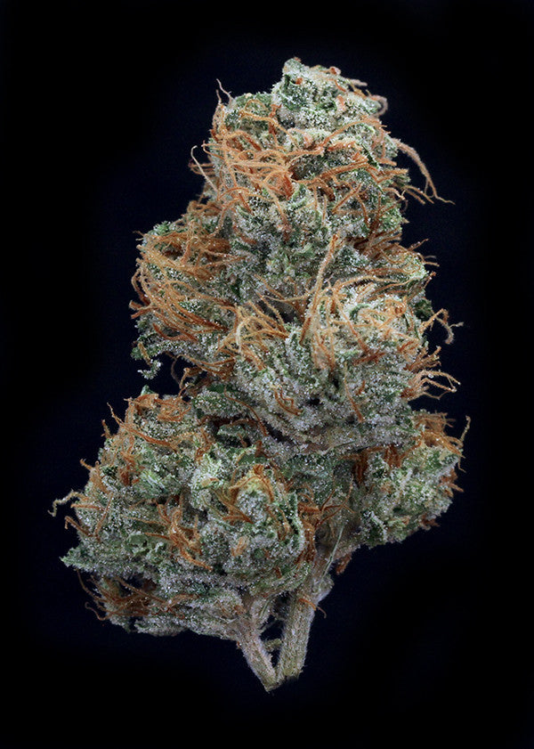 Bruce Banner