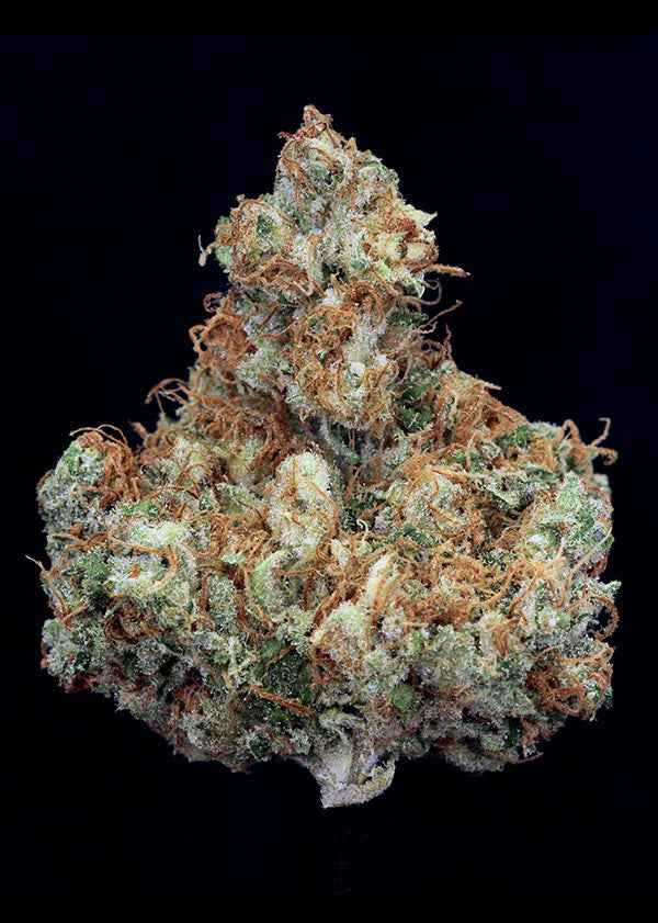 Colombian Gold