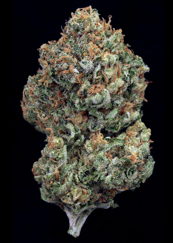 Durban Poison
