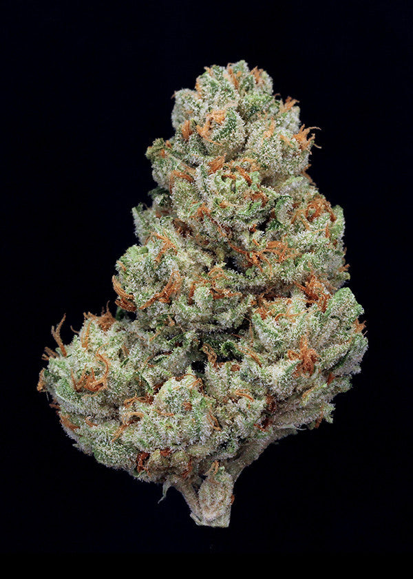 Tahoe OG