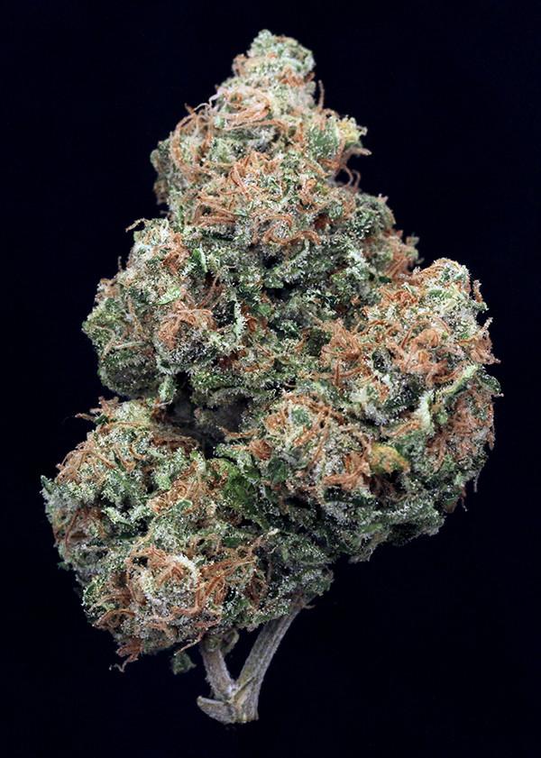 White Widow