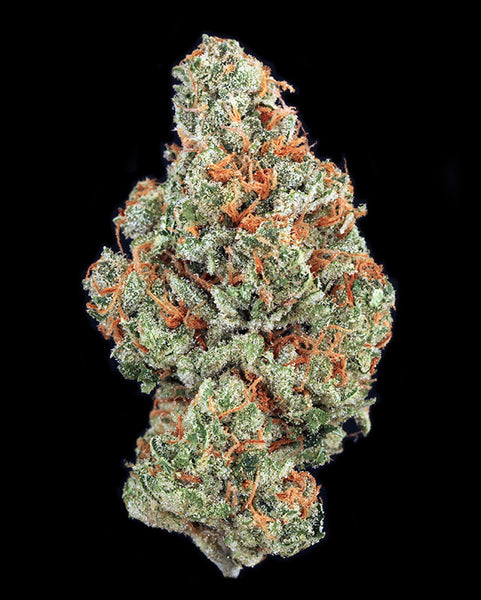 Glue Fruit