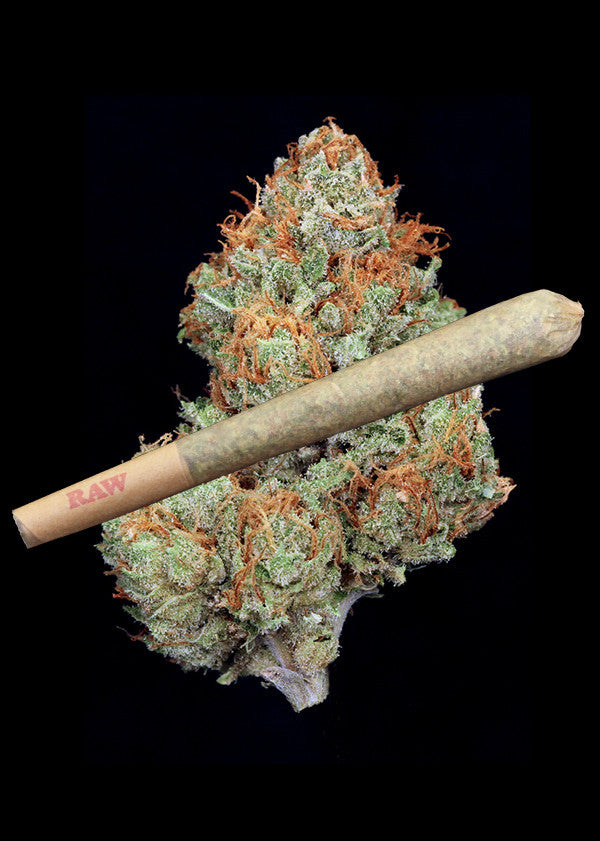 Candyland Joint