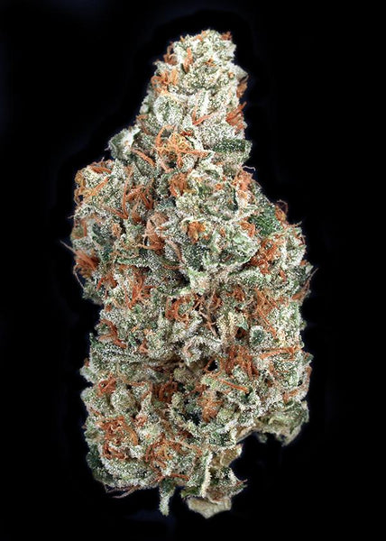 Clementine Kush