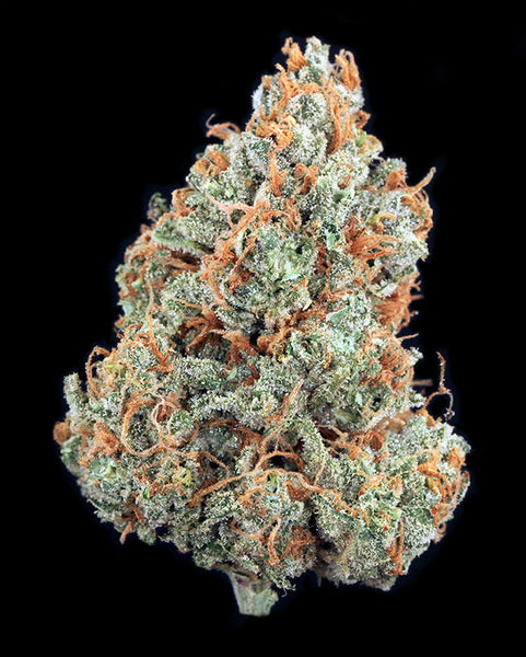 Deadhead X Cookies