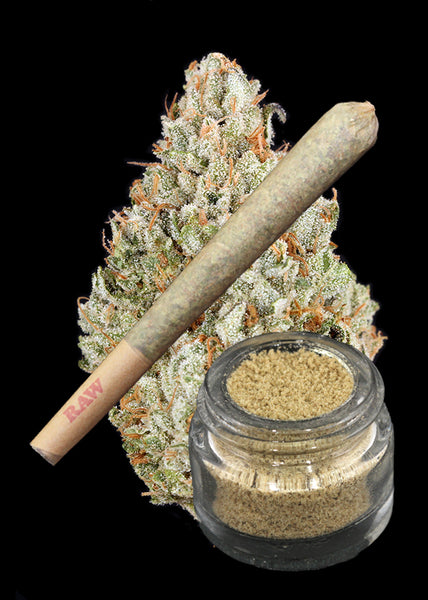 Dosido Bud x Tahoe OG Bubble Hash