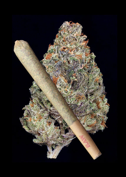 FLO Joint