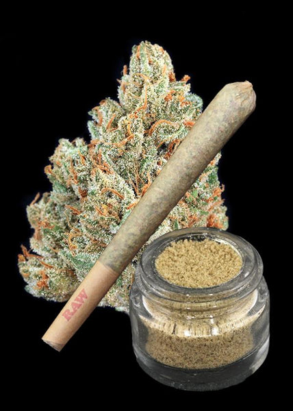 Golden Lemons Bud x WiFi & True Blue Bubble Hash