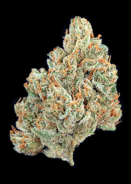 Golden Lemons