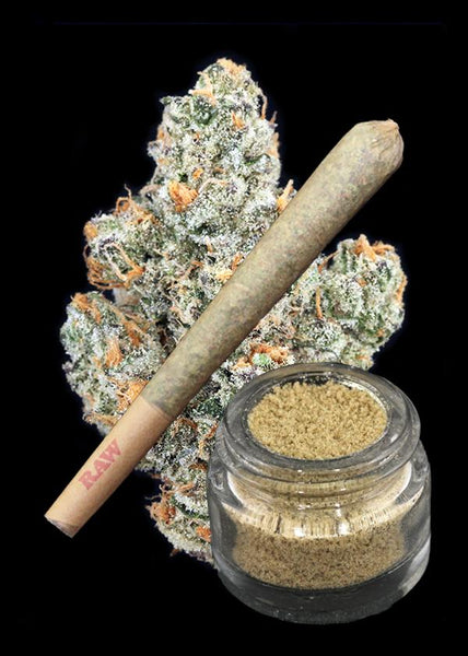 Jenny flower x Blue Hawaiian Fire Bubble Hash
