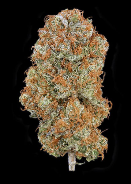 Krishna Kush