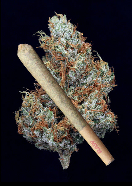 Larry OG Joint