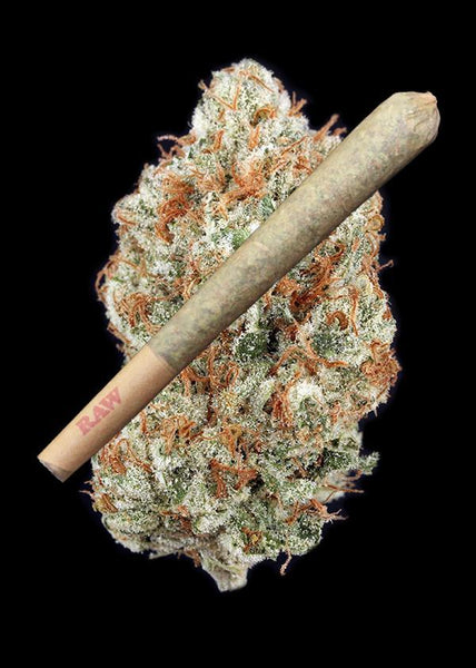 Lemon Meringue Joint