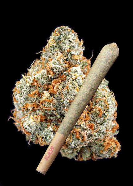 Lemon Cookies Joint  - Trim