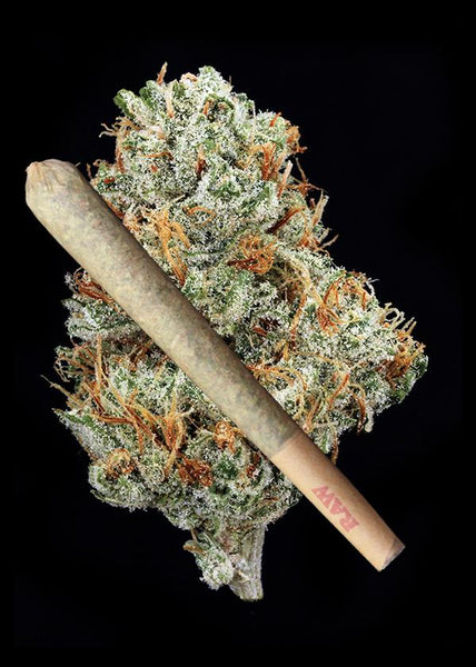 Locktite Joint