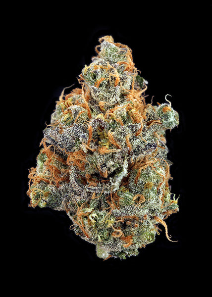 Mint Chocolate Chip #4