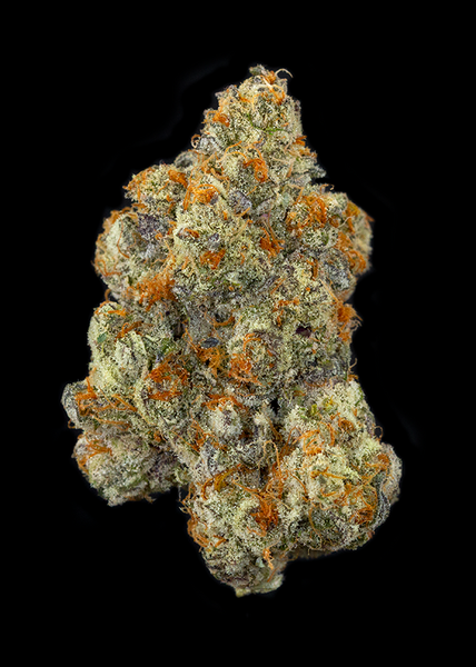 Mint Chocolate Chip #2