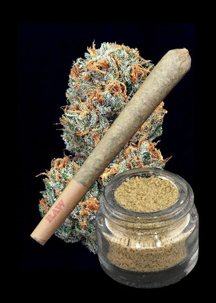 Pit Boss Bud X Power Walk Bubble Hash Blended Joint