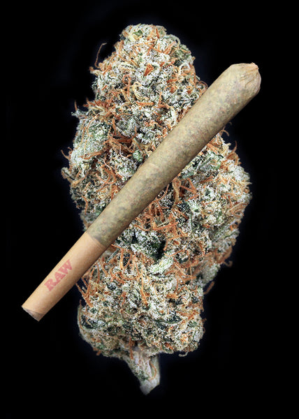 Tahoe Alien Joint