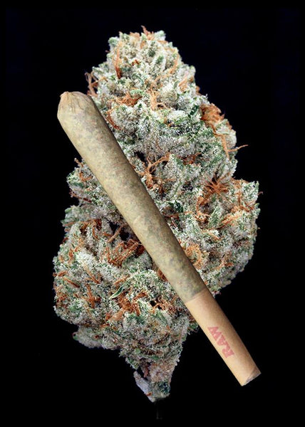 The White Joint - Trim