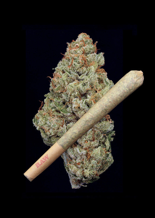 Blue Widow Joint