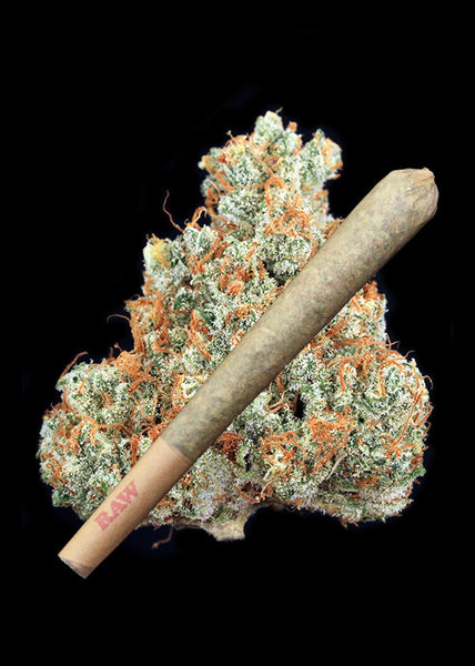 Campfire Joint