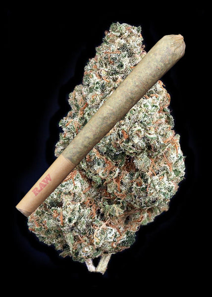 Chemodo Dragon Joint - Trim