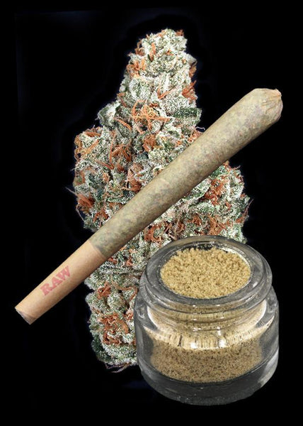Clementine Kush Flower x Jenny Craig Bubble Hash