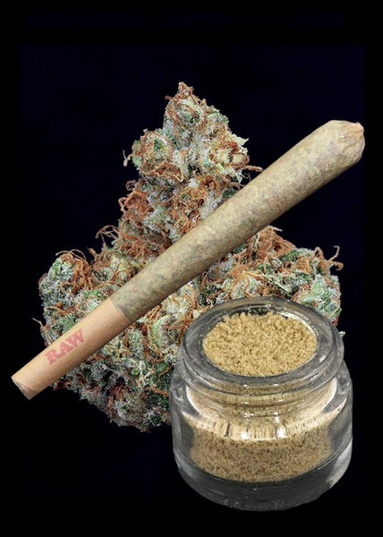 Colombian Gold Bud x True Colombian Bubble Hash