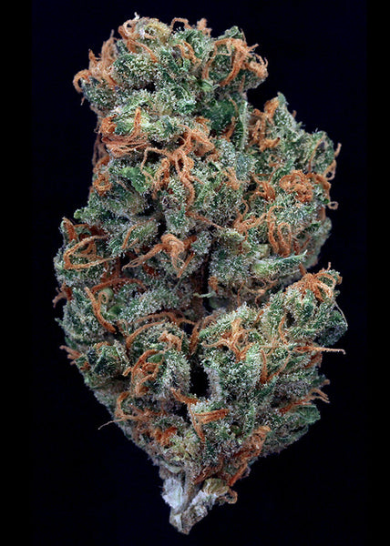 Dank Fruit