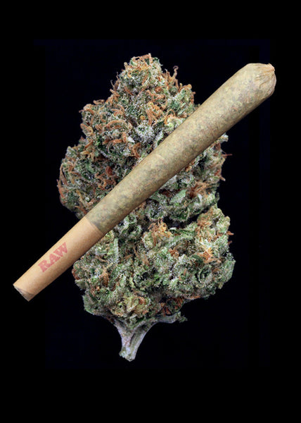 Durban Poison Joint - TRIM