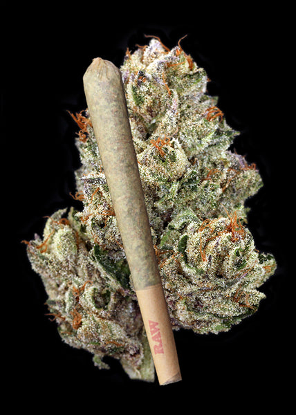 Flo White Joint