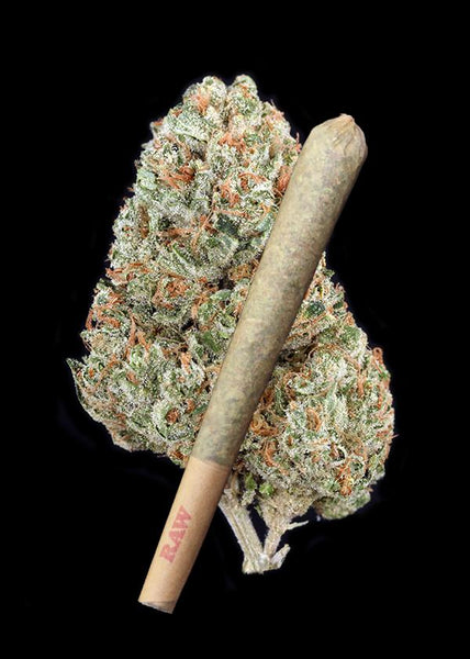 French Toast Joint