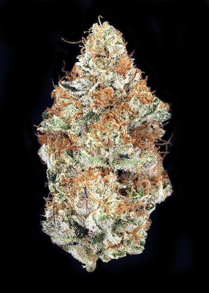 Girl Scout Glue
