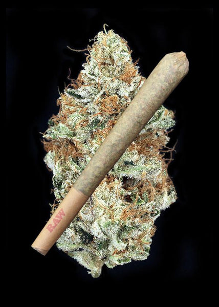 Girl Scout Glue Joint