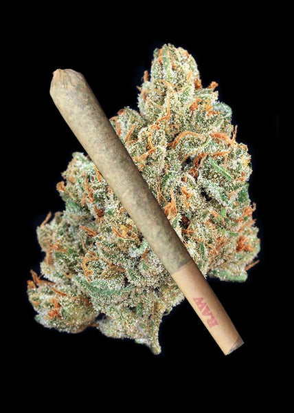 Golden Lemons Joint