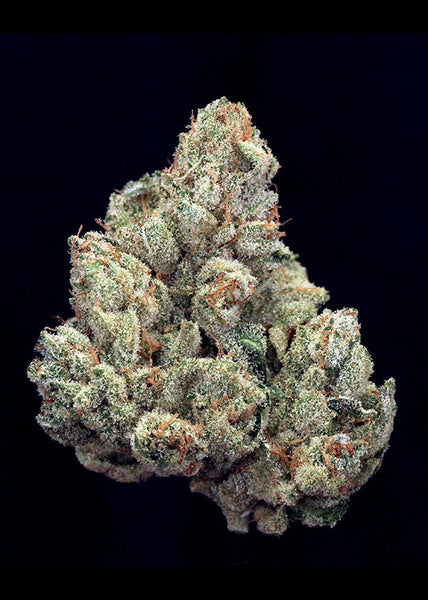TRIM - GG #4