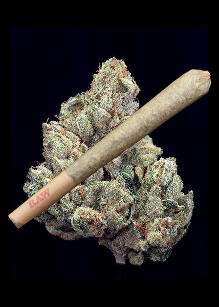 GG #4 Joint - TRIM