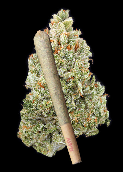 Jack O'Nesia Joint