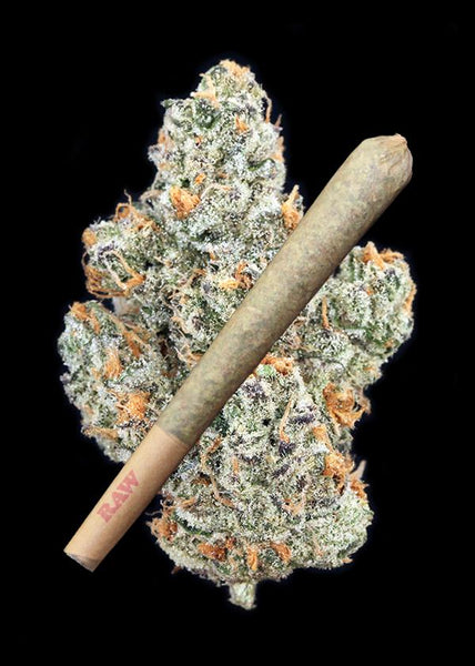 Jenny Joint