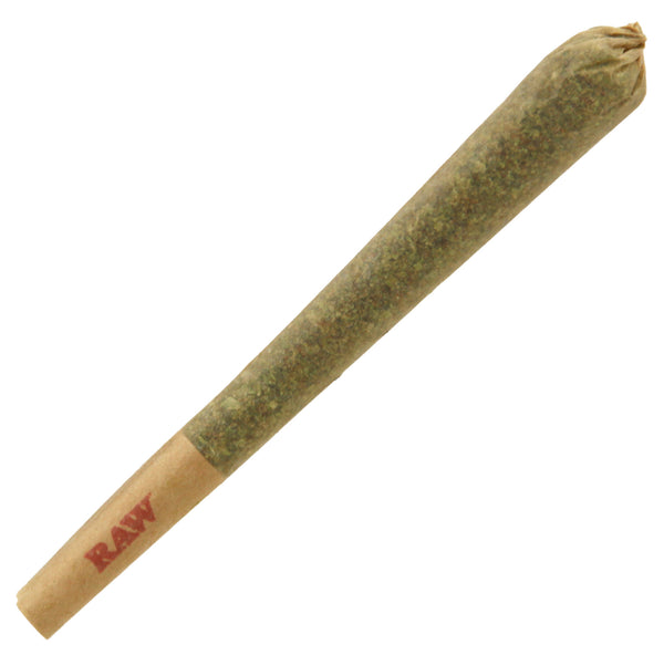 NYC Diesel Joint