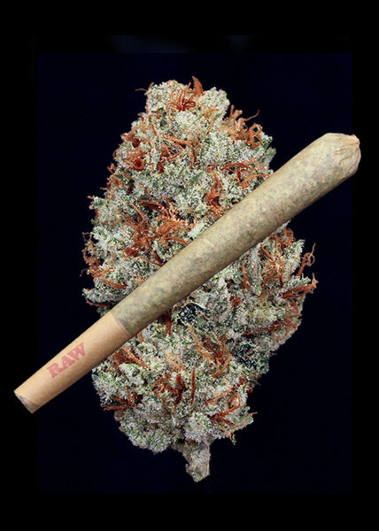 Julius Caesar Joint