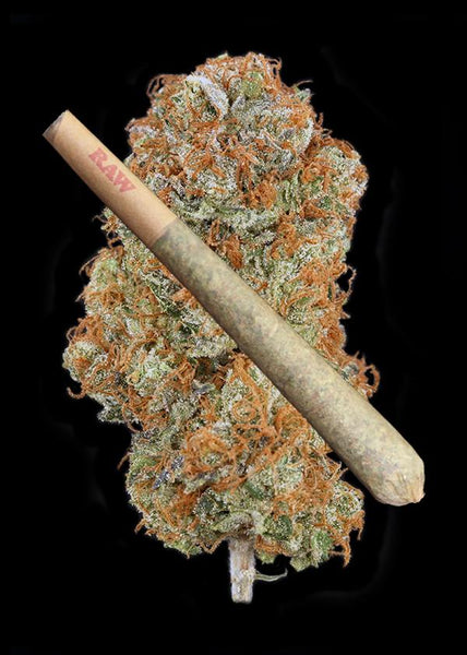 Krishna Kush Joint - TRIM