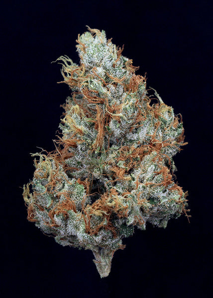 Larry OG