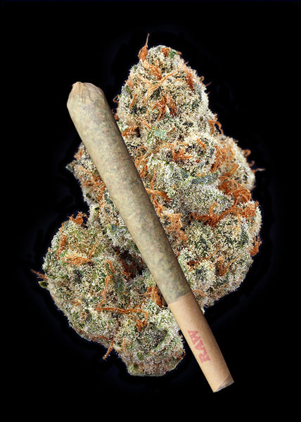 Mimosa Joint