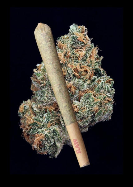Nightmare Cookies Joint