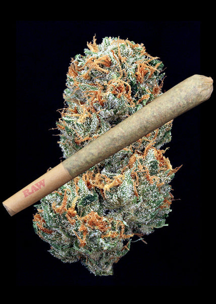 Pit Boss Joint