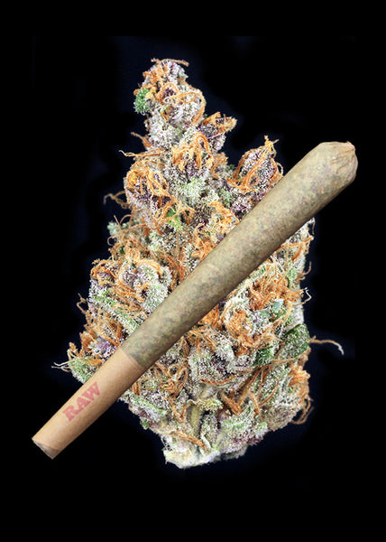 Shaman Joint